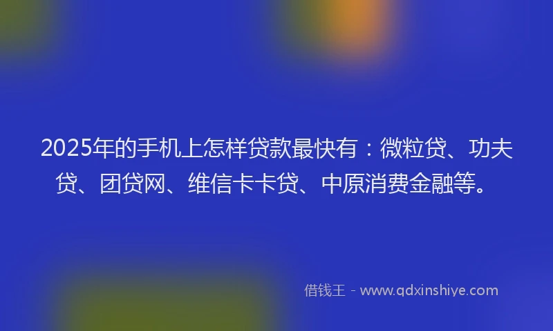 2025年的手机上怎样贷款最快有：微粒贷、功夫贷、团贷网、维信卡卡贷、中原消费金融等。