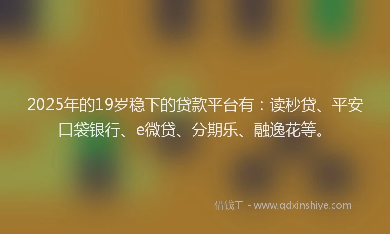 2025年的19岁稳下的贷款平台有：读秒贷、平安口袋银行、e微贷、分期乐、融逸花等。