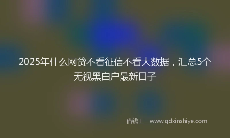 2025年什么网贷不看征信不看大数据，汇总5个无视黑白户最新口子