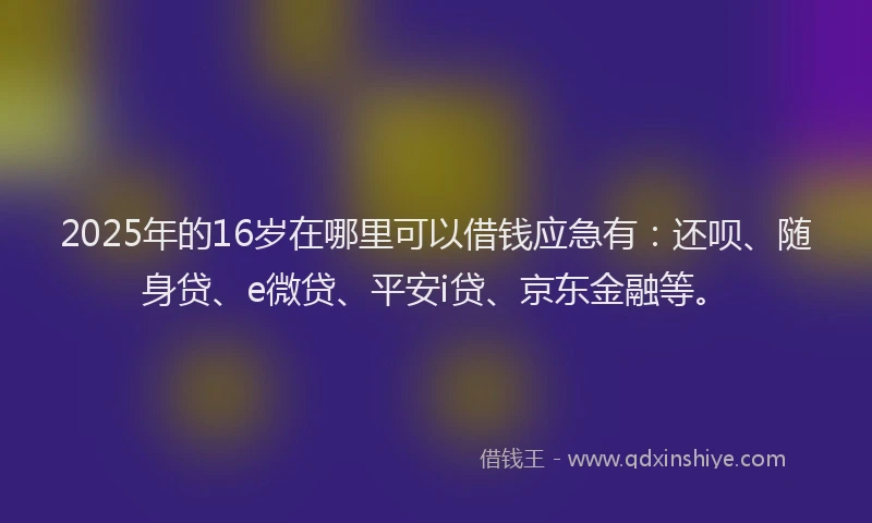2025年的16岁在哪里可以借钱应急有：还呗、随身贷、e微贷、平安i贷、京东金融等。