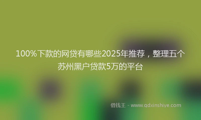 100%下款的网贷有哪些2025年推荐，整理五个苏州黑户贷款5万的平台