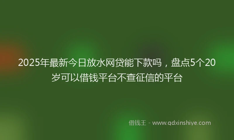 2025年最新今日放水网贷能下款吗，盘点5个20岁可以借钱平台不查征信的平台