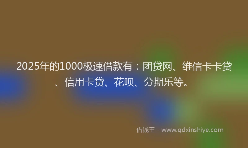 2025年的1000极速借款有：团贷网、维信卡卡贷、信用卡贷、花呗、分期乐等。