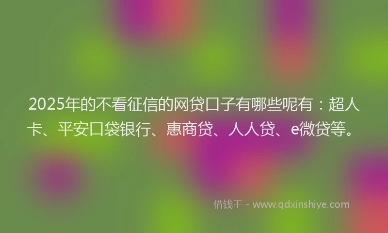 2025年的不看征信的网贷口子有哪些呢有：超人卡、平安口袋银行、惠商贷、人人贷、e微贷等。