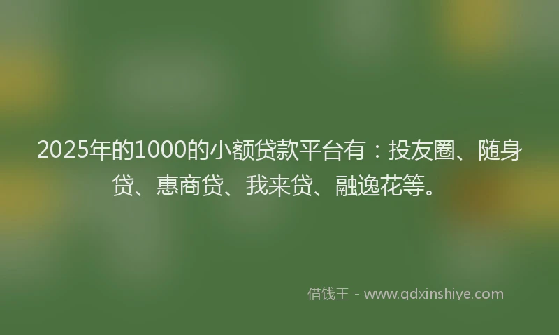 2025年的1000的小额贷款平台有：投友圈、随身贷、惠商贷、我来贷、融逸花等。