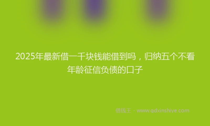 2025年最新借一千块钱能借到吗，归纳五个不看年龄征信负债的口子