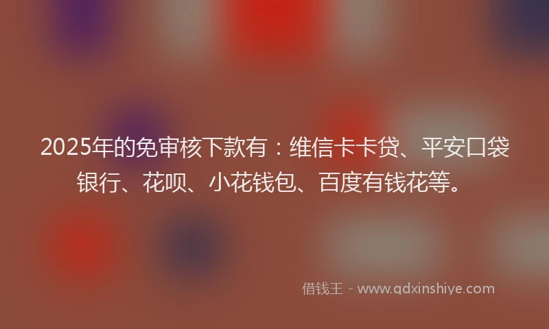 2025年的免审核下款有：维信卡卡贷、平安口袋银行、花呗、小花钱包、百度有钱花等。