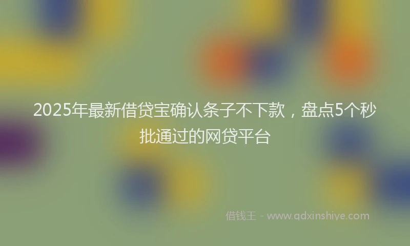 2025年最新借贷宝确认条子不下款，盘点5个秒批通过的网贷平台