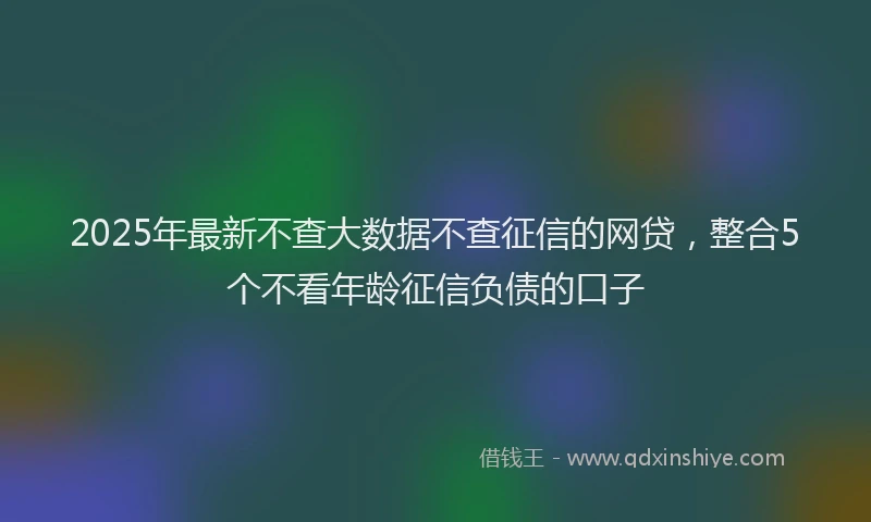 2025年最新不查大数据不查征信的网贷，整合5个不看年龄征信负债的口子