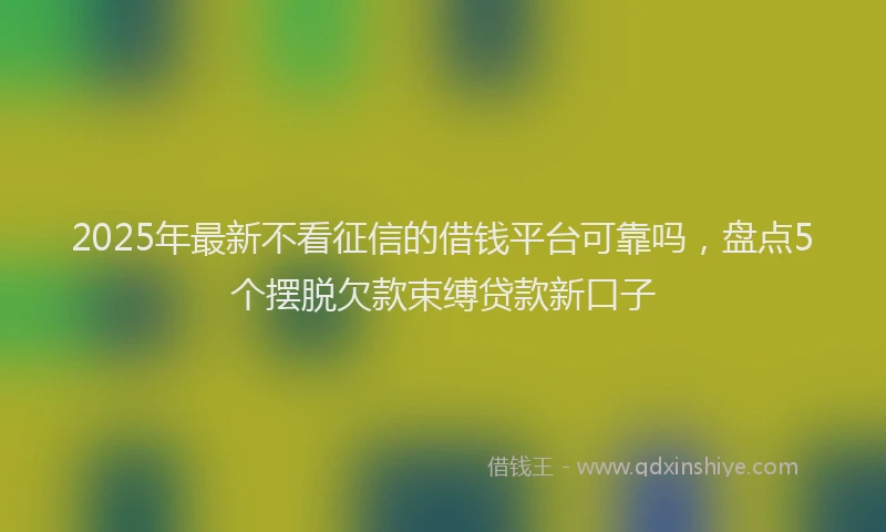 2025年最新不看征信的借钱平台可靠吗，盘点5个摆脱欠款束缚贷款新口子