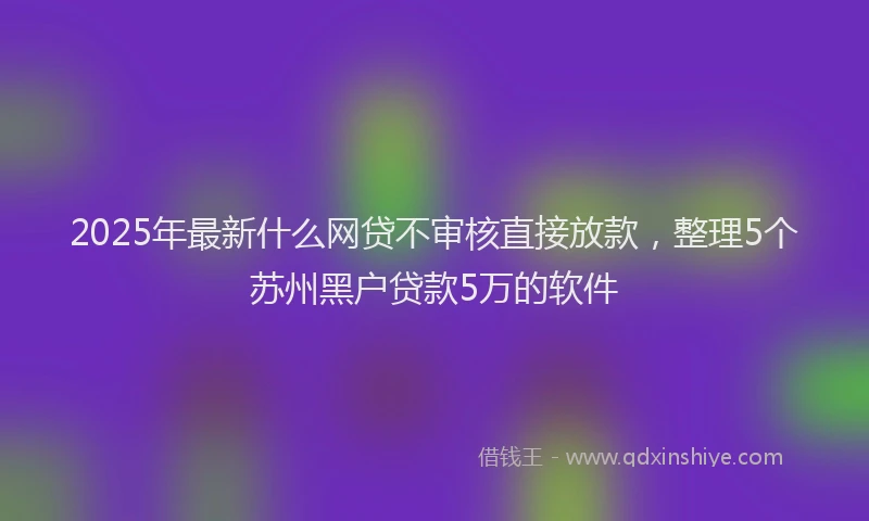 2025年最新什么网贷不审核直接放款，整理5个苏州黑户贷款5万的软件