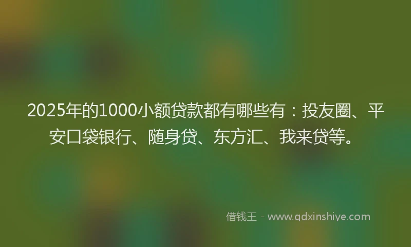2025年的1000小额贷款都有哪些有：投友圈、平安口袋银行、随身贷、东方汇、我来贷等。
