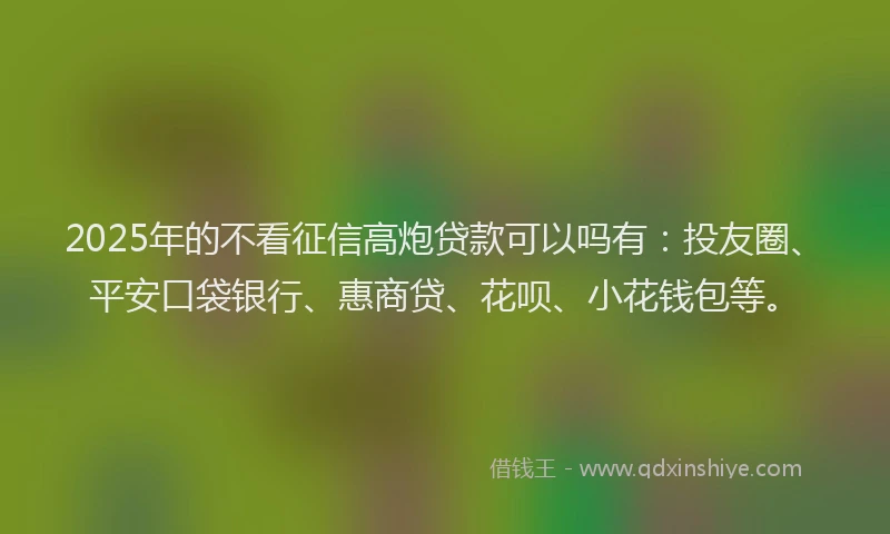 2025年的不看征信高炮贷款可以吗有：投友圈、平安口袋银行、惠商贷、花呗、小花钱包等。