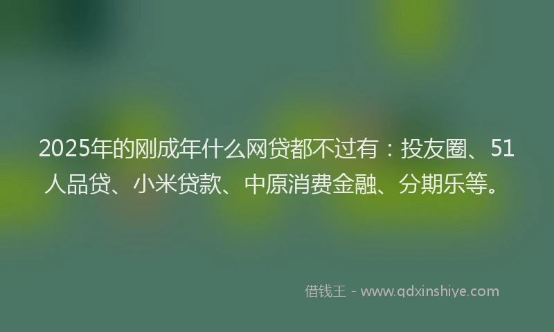 2025年的刚成年什么网贷都不过有：投友圈、51人品贷、小米贷款、中原消费金融、分期乐等。