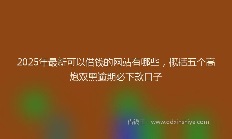 2025年最新可以借钱的网站有哪些，概括五个高炮双黑逾期必下款口子