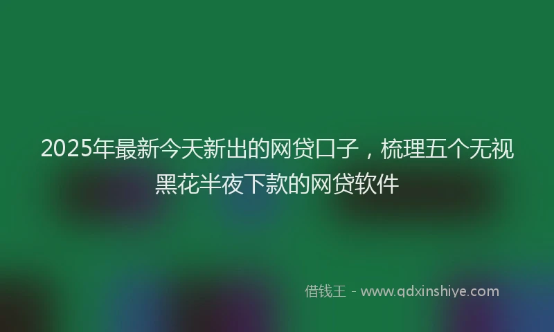 2025年最新今天新出的网贷口子，梳理五个无视黑花半夜下款的网贷软件