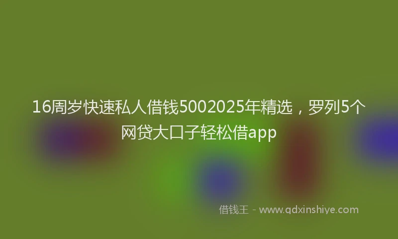 16周岁快速私人借钱5002025年精选，罗列5个网贷大口子轻松借app