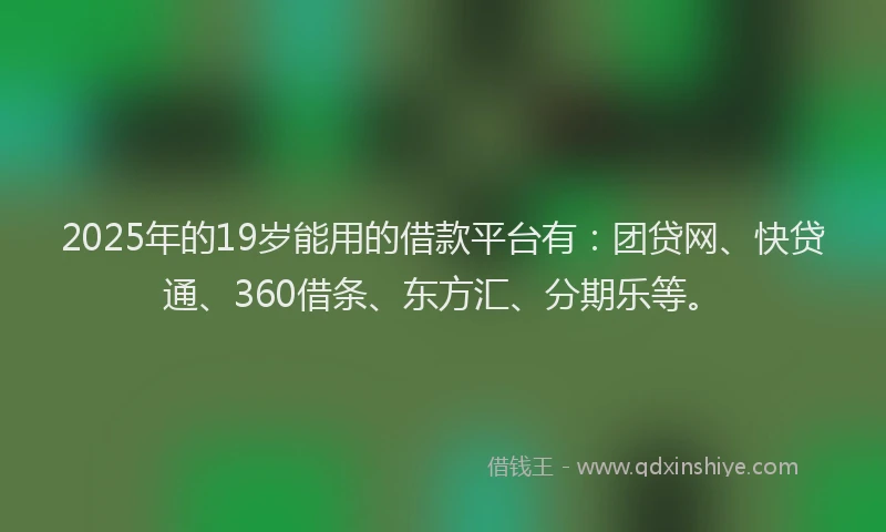 2025年的19岁能用的借款平台有：团贷网、快贷通、360借条、东方汇、分期乐等。