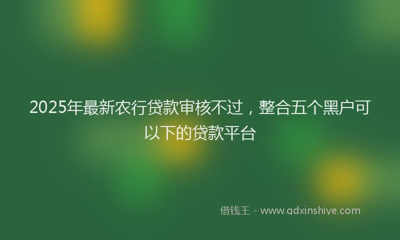 2025年最新农行贷款审核不过，整合五个黑户可以下的贷款平台