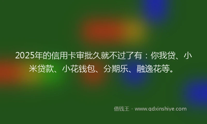 2025年的信用卡审批久就不过了有：你我贷、小米贷款、小花钱包、分期乐、融逸花等。