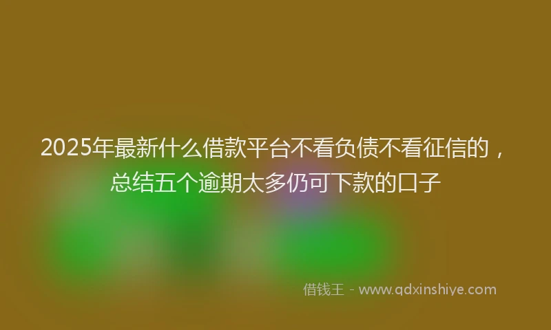 2025年最新什么借款平台不看负债不看征信的，总结五个逾期太多仍可下款的口子