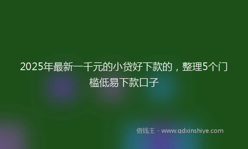 2025年最新一千元的小贷好下款的，整理5个门槛低易下款口子