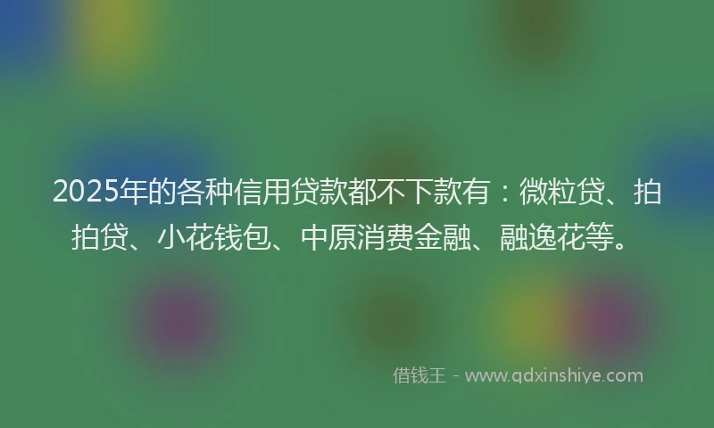 2025年的各种信用贷款都不下款有：微粒贷、拍拍贷、小花钱包、中原消费金融、融逸花等。