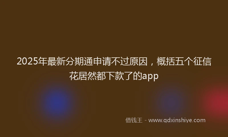 2025年最新分期通申请不过原因，概括五个征信花居然都下款了的app