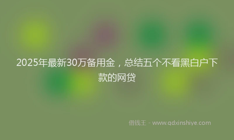 2025年最新30万备用金，总结五个不看黑白户下款的网贷