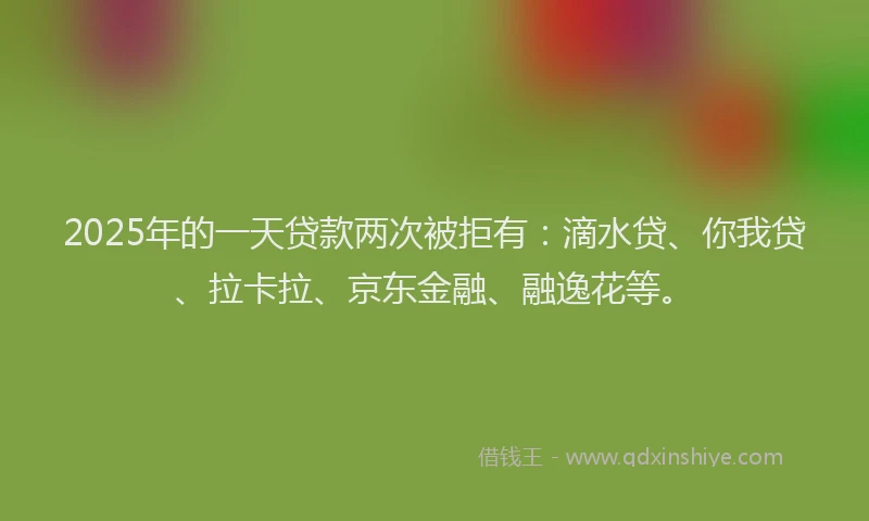 2025年的一天贷款两次被拒有：滴水贷、你我贷、拉卡拉、京东金融、融逸花等。