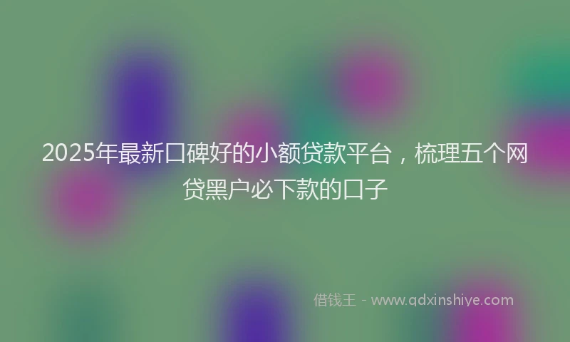 2025年最新口碑好的小额贷款平台，梳理五个网贷黑户必下款的口子