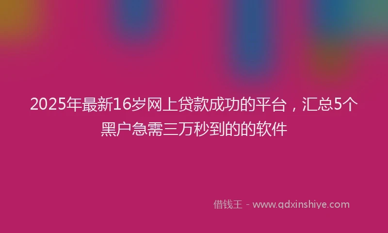 2025年最新16岁网上贷款成功的平台，汇总5个黑户急需三万秒到的的软件