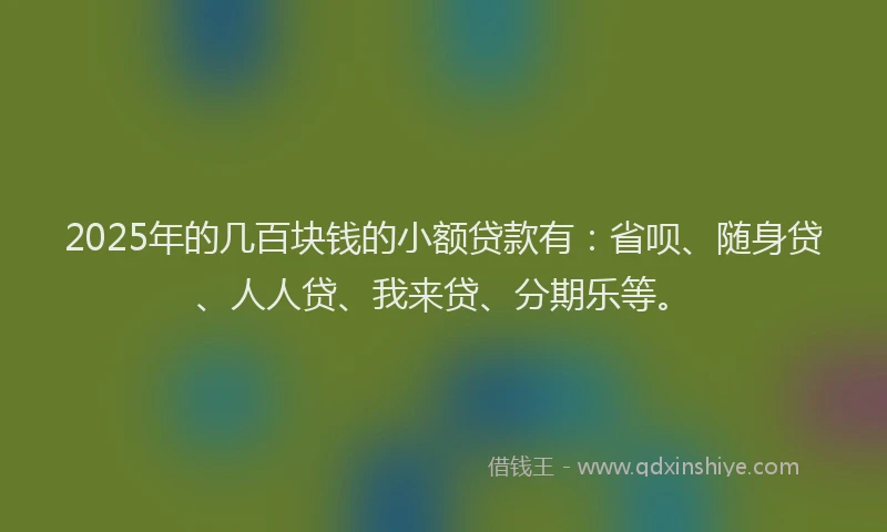 2025年的几百块钱的小额贷款有：省呗、随身贷、人人贷、我来贷、分期乐等。