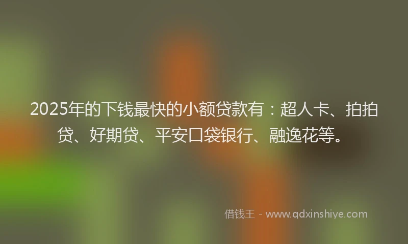2025年的下钱最快的小额贷款有：超人卡、拍拍贷、好期贷、平安口袋银行、融逸花等。