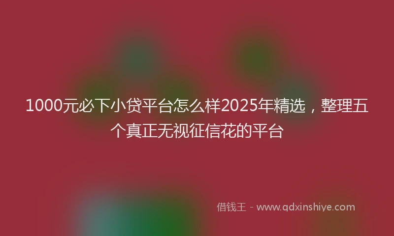 1000元必下小贷平台怎么样2025年精选，整理五个真正无视征信花的平台