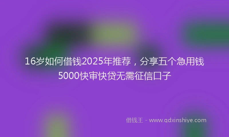 16岁如何借钱2025年推荐，分享五个急用钱5000快审快贷无需征信口子