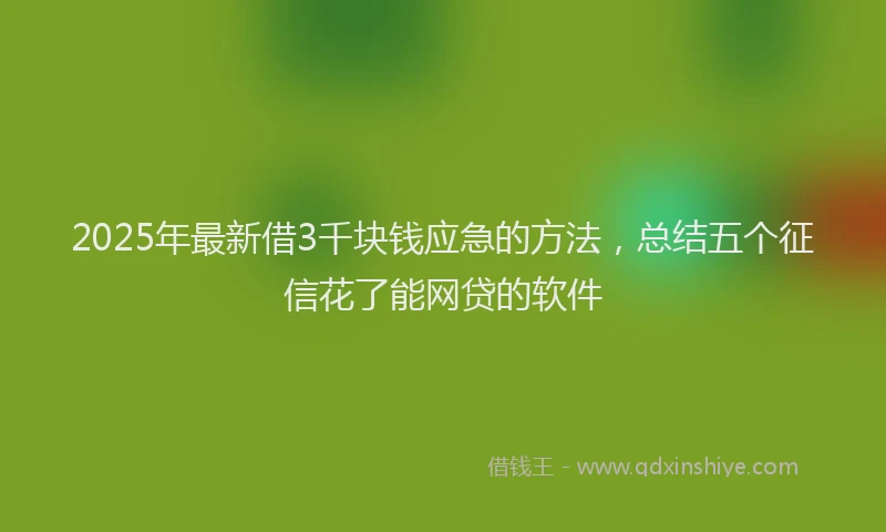 2025年最新借3千块钱应急的方法，总结五个征信花了能网贷的软件