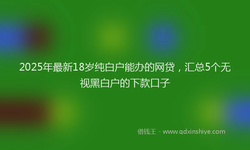2025年最新18岁纯白户能办的网贷，汇总5个无视黑白户的下款口子