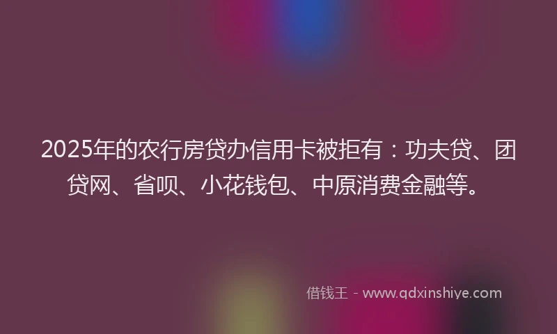 2025年的农行房贷办信用卡被拒有：功夫贷、团贷网、省呗、小花钱包、中原消费金融等。
