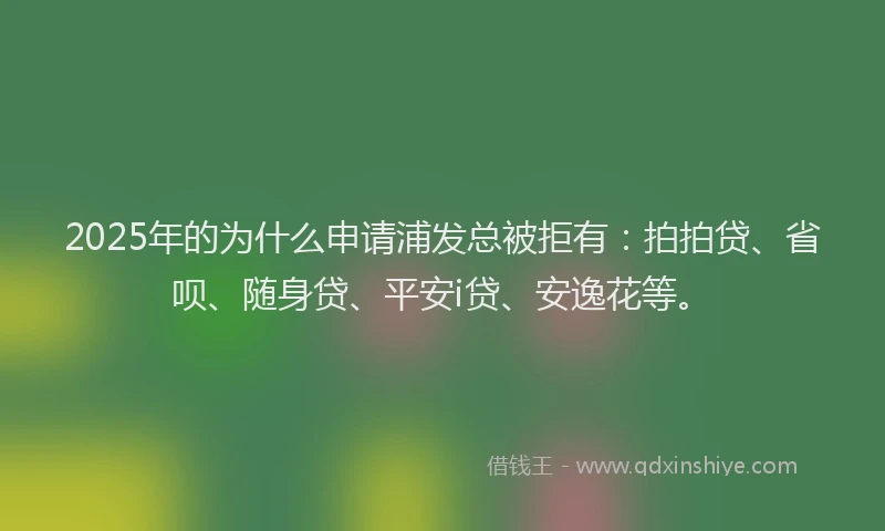 2025年的为什么申请浦发总被拒有：拍拍贷、省呗、随身贷、平安i贷、安逸花等。