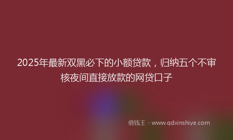 2025年最新双黑必下的小额贷款，归纳五个不审核夜间直接放款的网贷口子