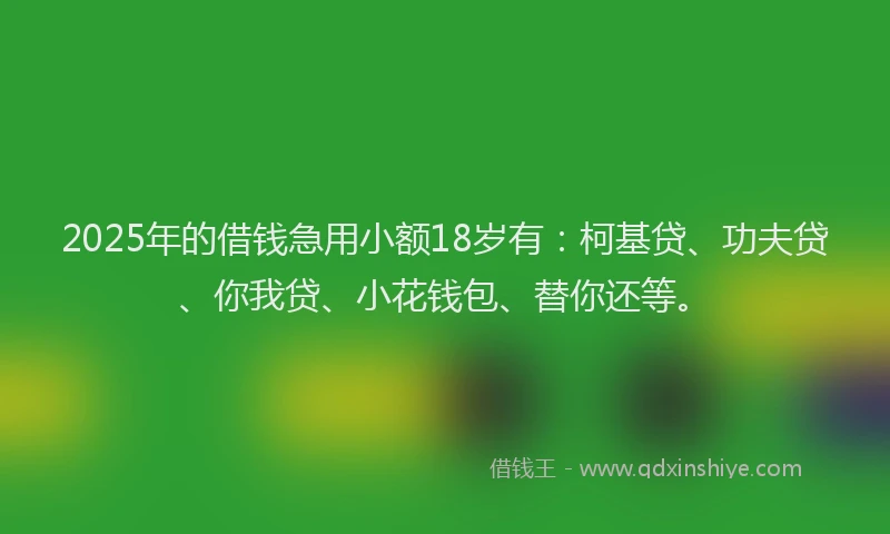 2025年的借钱急用小额18岁有：柯基贷、功夫贷、你我贷、小花钱包、替你还等。