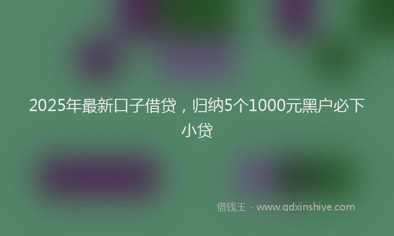 2025年最新口子借贷，归纳5个1000元黑户必下小贷