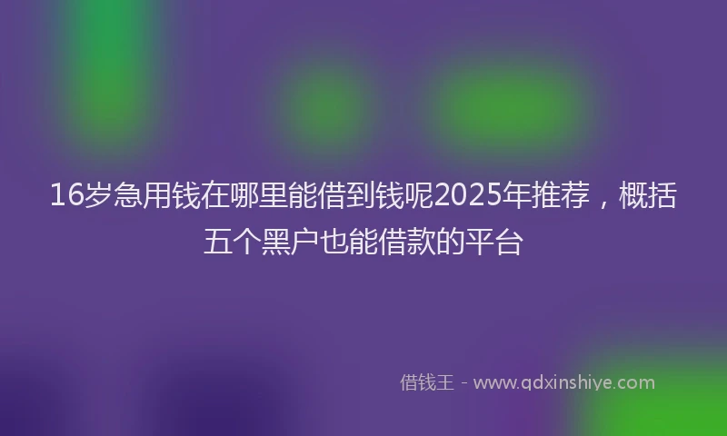 16岁急用钱在哪里能借到钱呢2025年推荐，概括五个黑户也能借款的平台