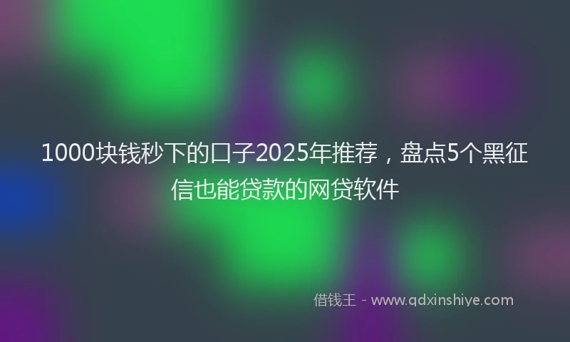 1000块钱秒下的口子2025年推荐，盘点5个黑征信也能贷款的网贷软件