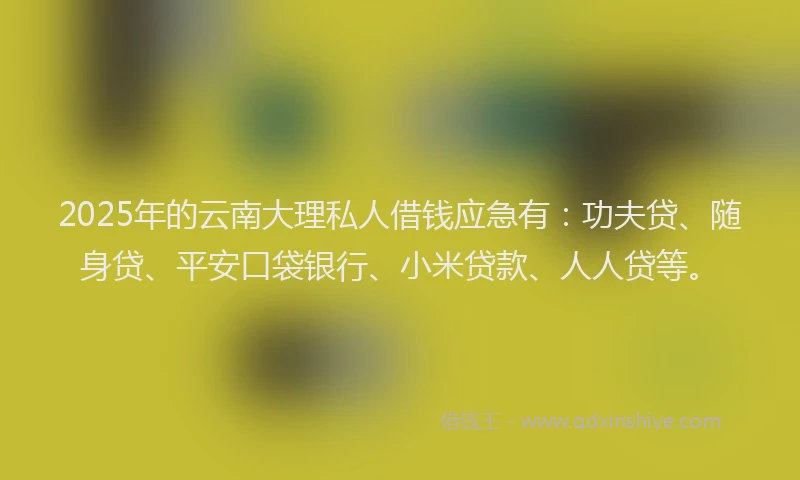 2025年的云南大理私人借钱应急有：功夫贷、随身贷、平安口袋银行、小米贷款、人人贷等。