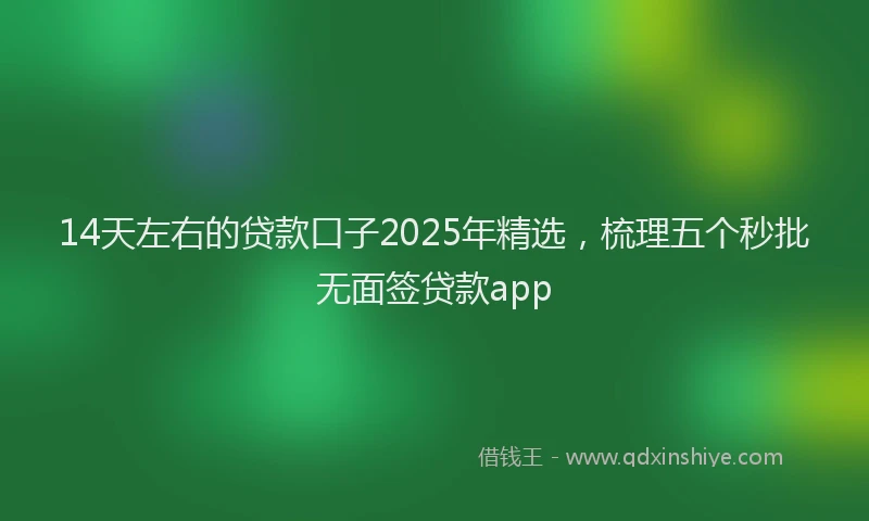 14天左右的贷款口子2025年精选，梳理五个秒批无面签贷款app