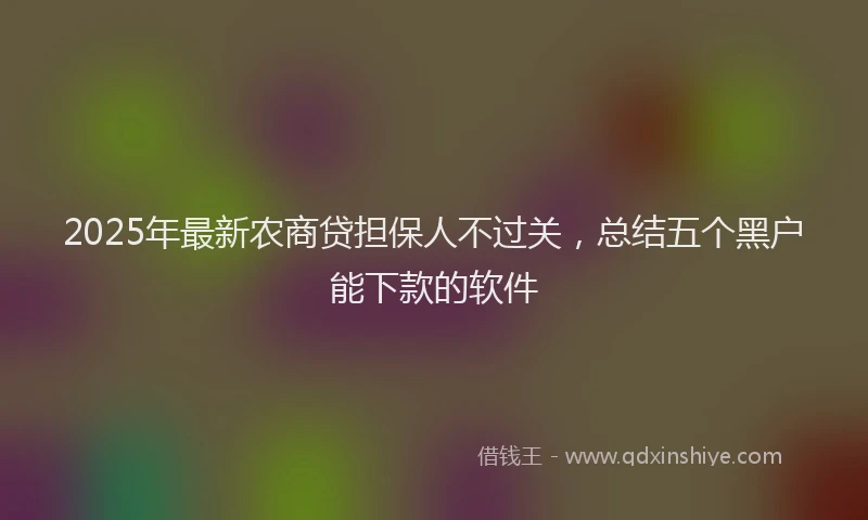 2025年最新农商贷担保人不过关，总结五个黑户能下款的软件