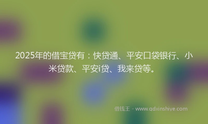 2025年的借宝贷有：快贷通、平安口袋银行、小米贷款、平安i贷、我来贷等。