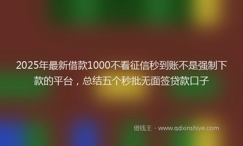 2025年最新借款1000不看征信秒到账不是强制下款的平台，总结五个秒批无面签贷款口子